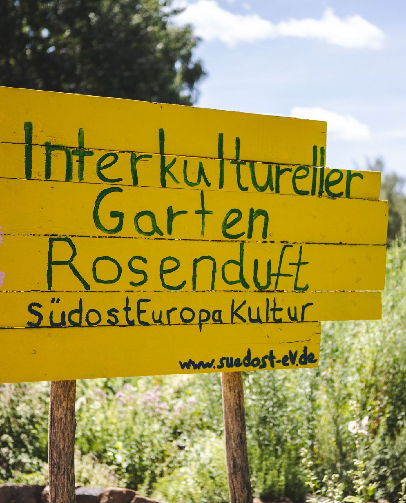 Das Bild zeigt den Interkulturellen Garten Rosenduft.