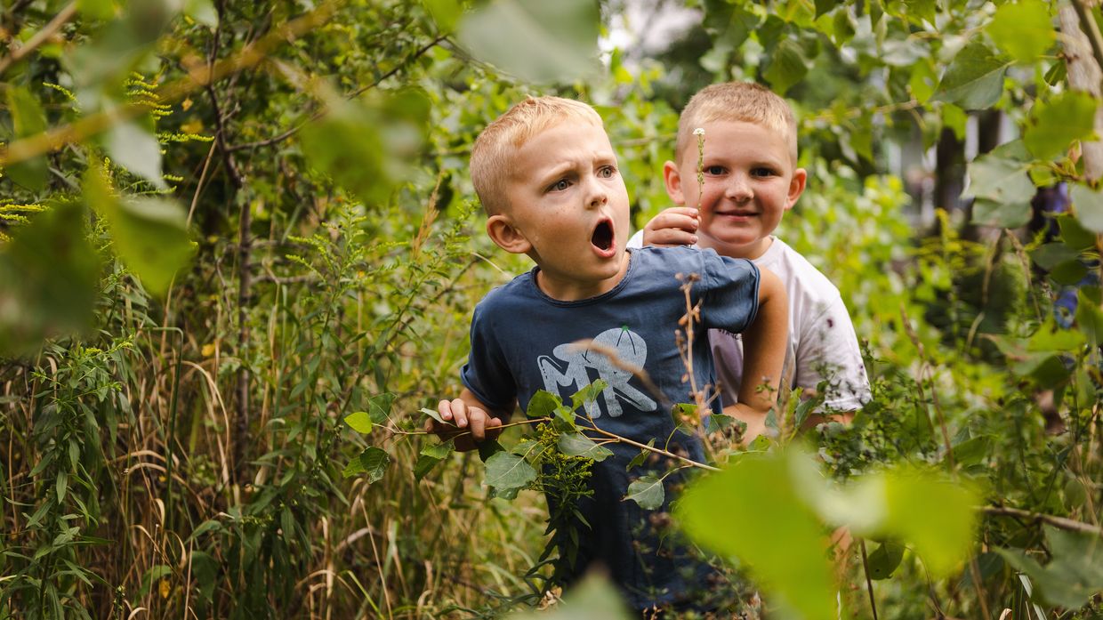 Kinder auf Entdeckungstour im grünen Dickicht des Naturerfahrungsraums im Park am Gleisdreieck.