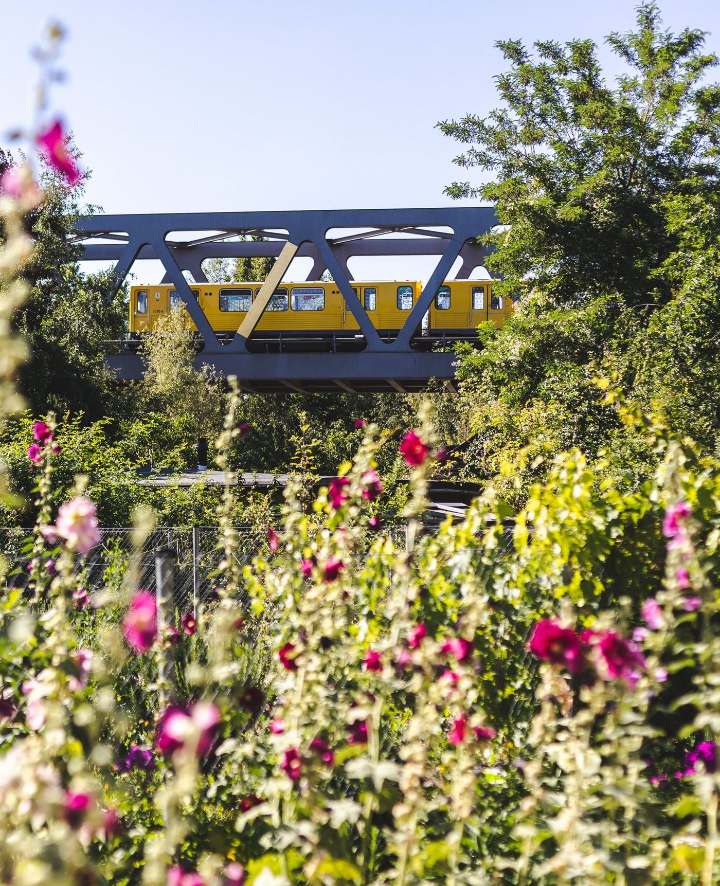 Eine Detailansicht eines Blumenfeldes, im Hintergrund ist die U-Bahn Brücke mit einer U-Bahn zu sehen.