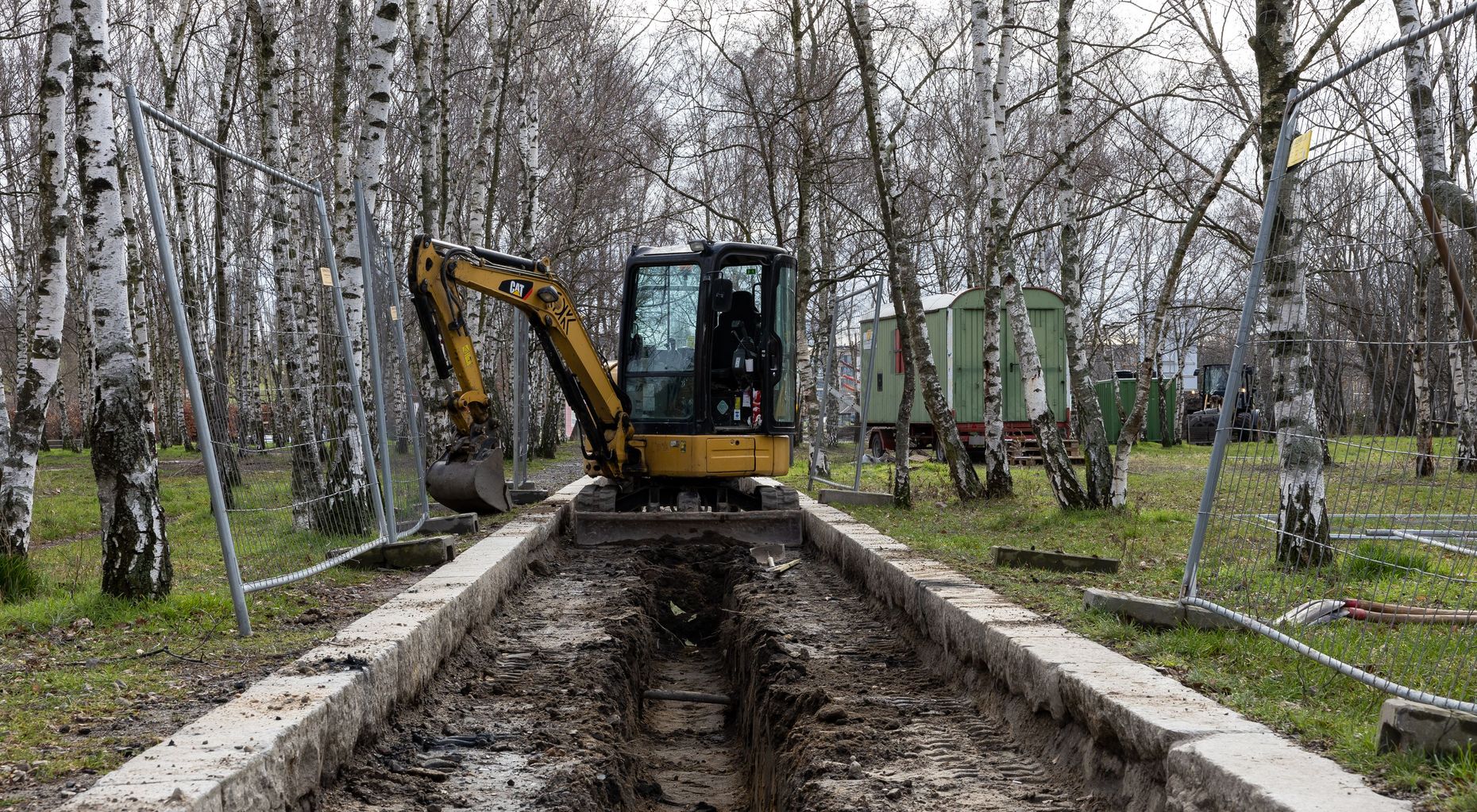 Ein Bagger hebt eine Baugrube für den Weg durch das Birkenwäldchen im Mauerpark aus