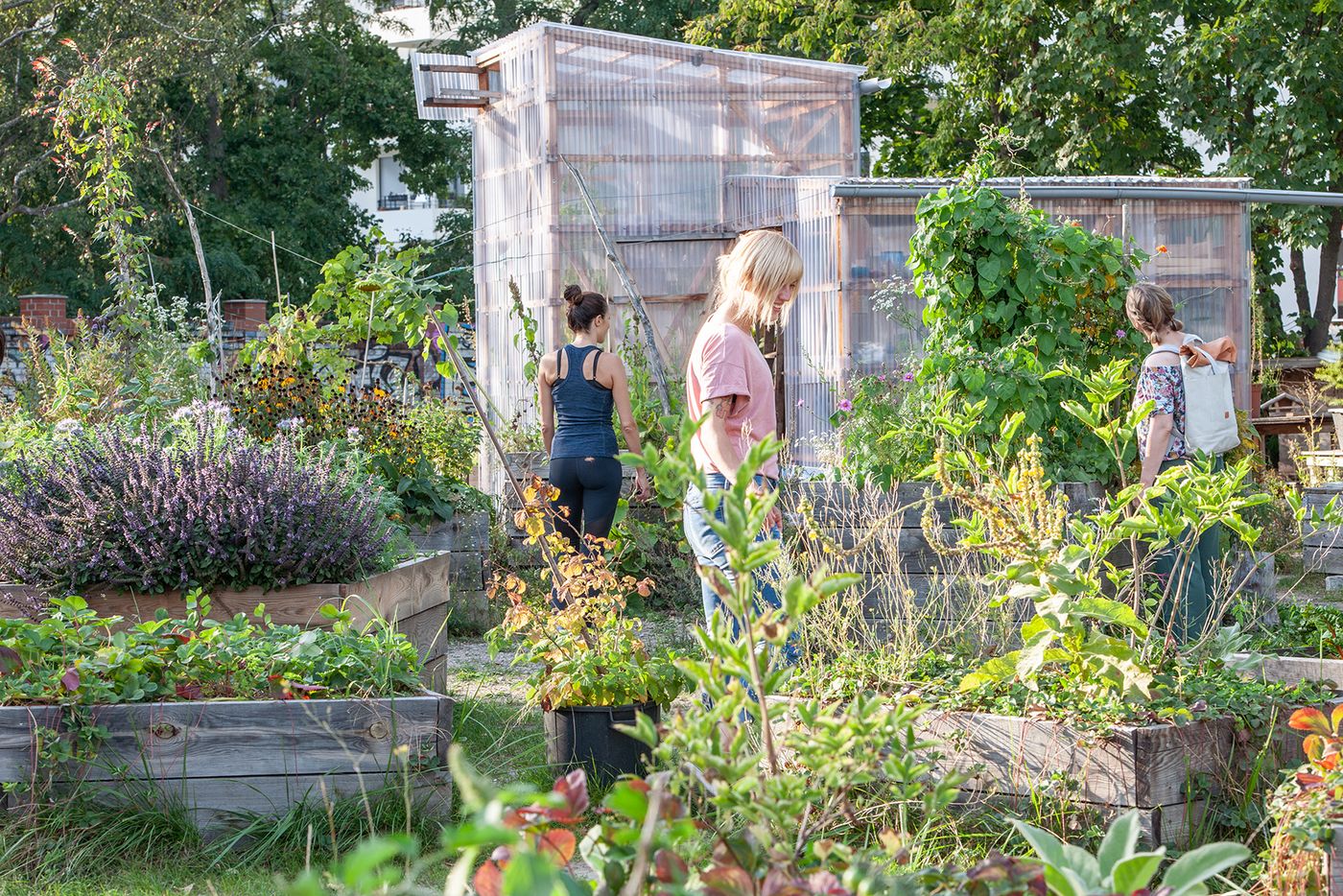 Das Bild zeigt drei Frauen in einem urbanen Garten im Mauerpark.