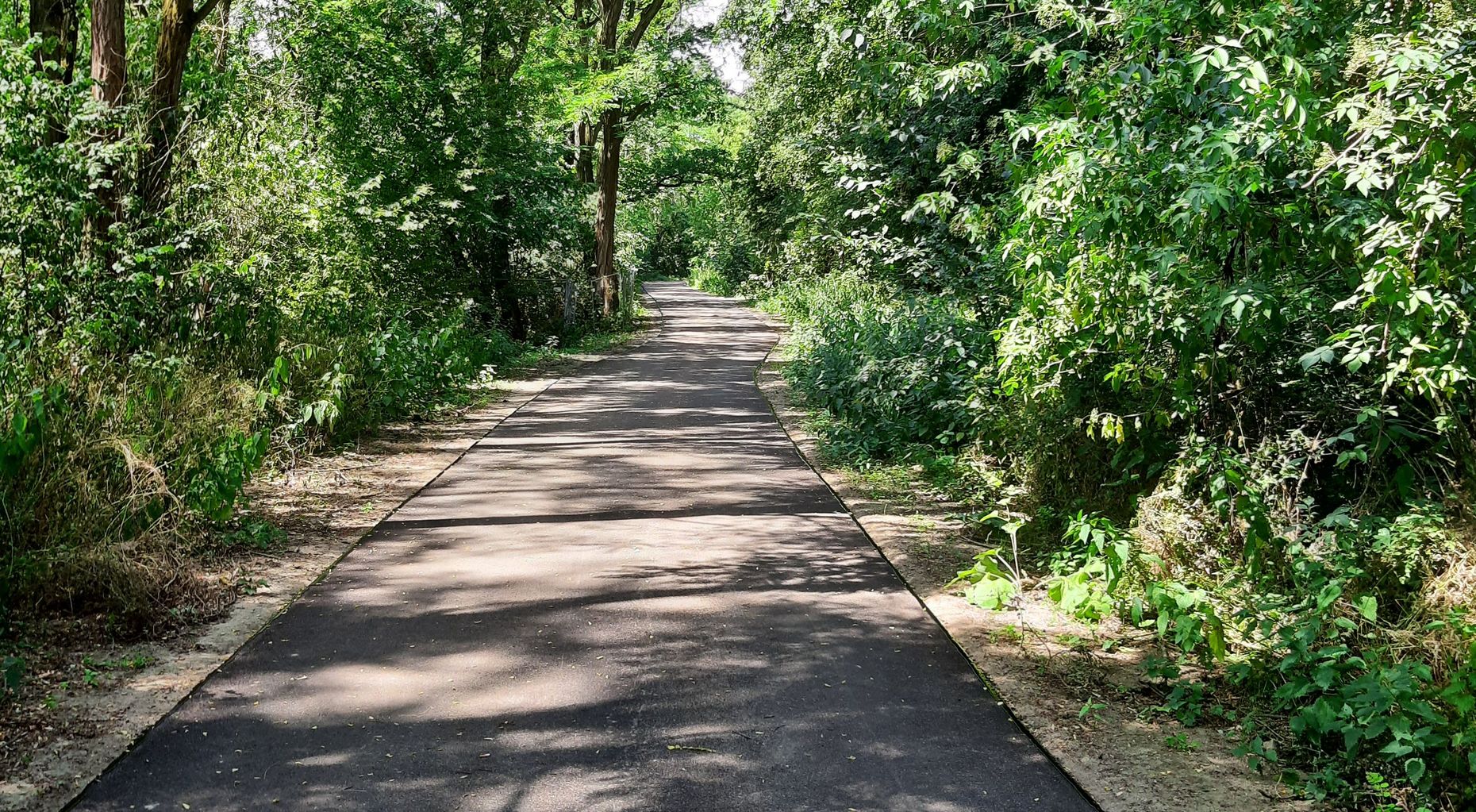 Der neugestaltete Abschnitt Hahneberg am Berliner Mauerweg, umgeben von Grün