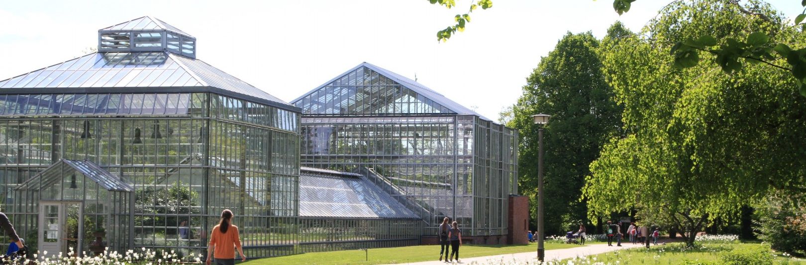 Die denkmalgeschützten Schaugewächshäuser aus Glas im Botanischen Volkspark Blankenfelde-Pankow