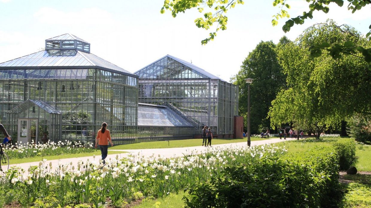 Die denkmalgeschützten Schaugewächshäuser aus Glas im Botanischen Volkspark Blankenfelde-Pankow