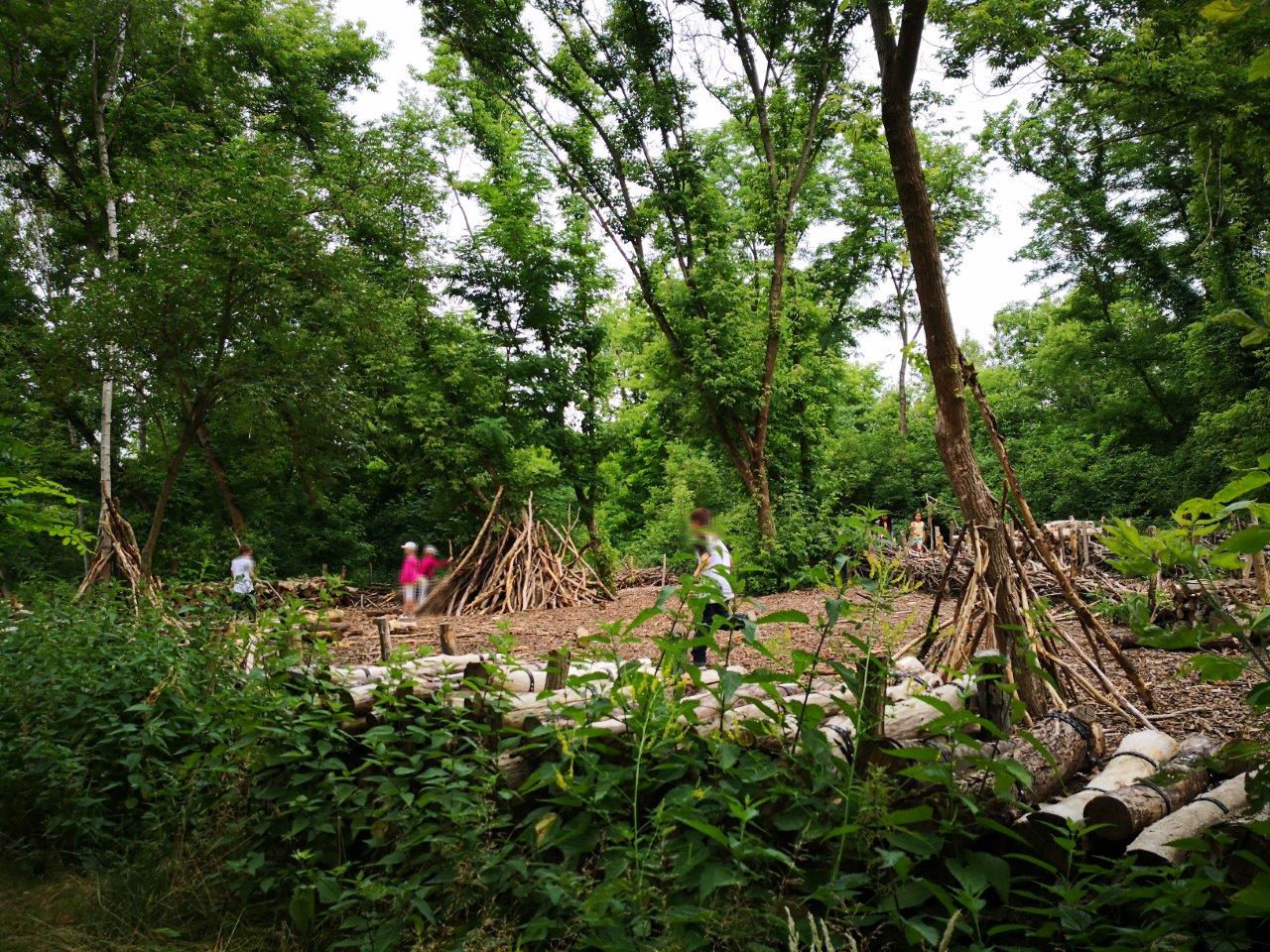 Das Bild zeigt den Naturerfahrungsraum im Kienbergpark.